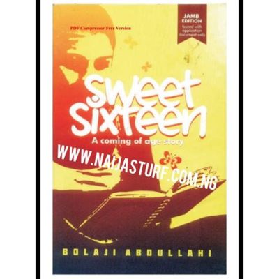  Sweet Sixteen  - A Coming-of-Age Story Exploding With Nigerian Culture and Intrigue